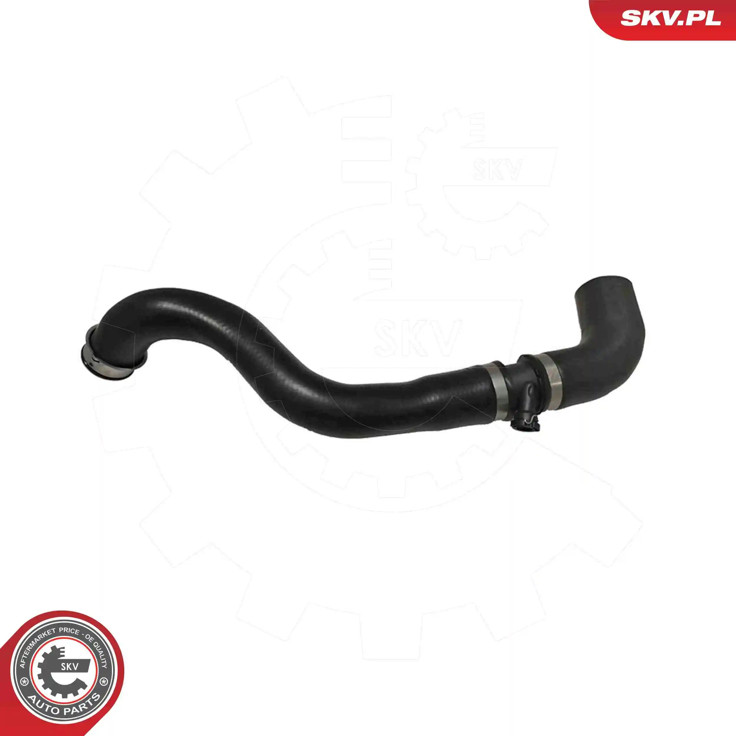 Radiator Hose